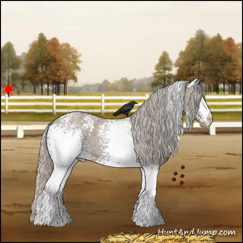 Horse Color:White Spotted Silver Grullo Roan 