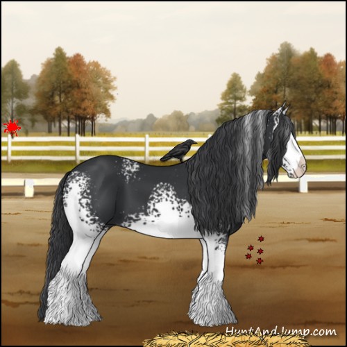 Horse Color:White Spotted Black 