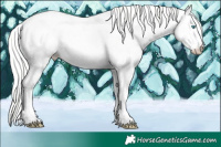 Horse Color:White Spotted Silver Perlino Sabino Splash Appaloosa