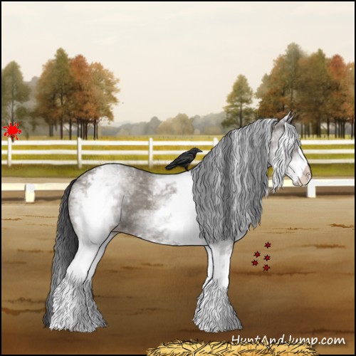 Horse Color:White Spotted Grullo