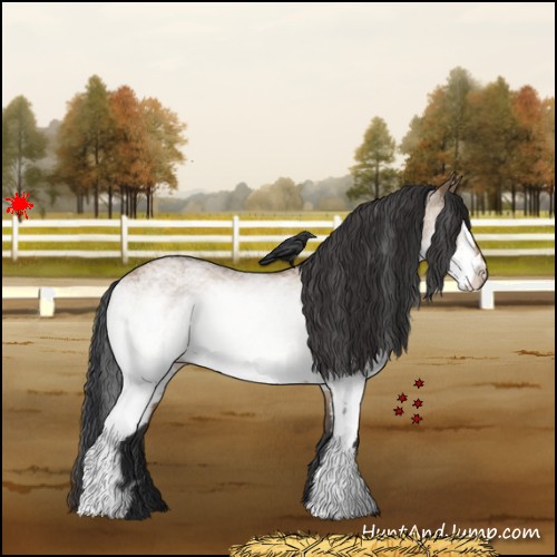 Horse Color:White Spotted Bay Dun 