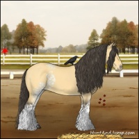 Horse Color:White Spotted Buckskin Dun 