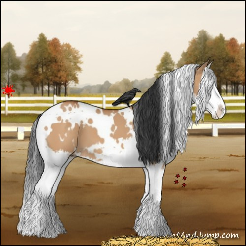 Horse Color:White Spotted Bay Dun Splash 