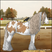 Horse Color:White Spotted Chestnut Splash