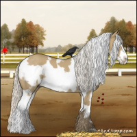 Horse Color:White Spotted Silver Smoky Grullo Frame