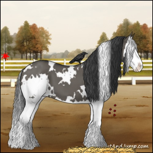 Horse Color:White Spotted Grullo Splash 