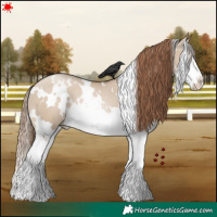 Horse Color:White Spotted Grullo Pearl Splash