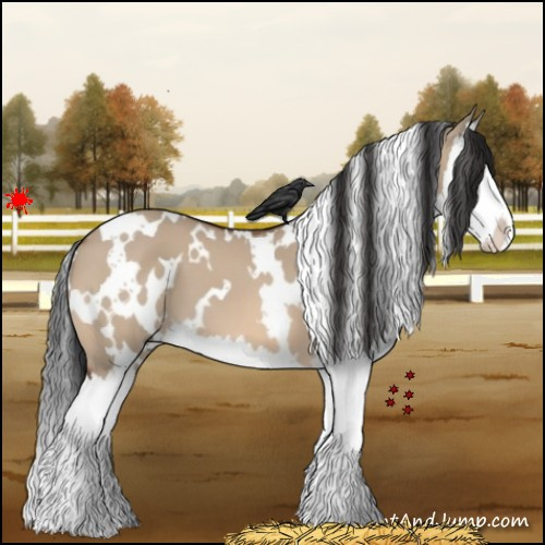 Horse Color:White Spotted Bay Dun Splash 