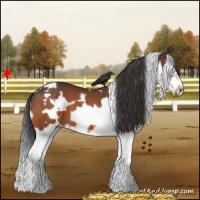 Horse Color:White Spotted Bay Splash Frame