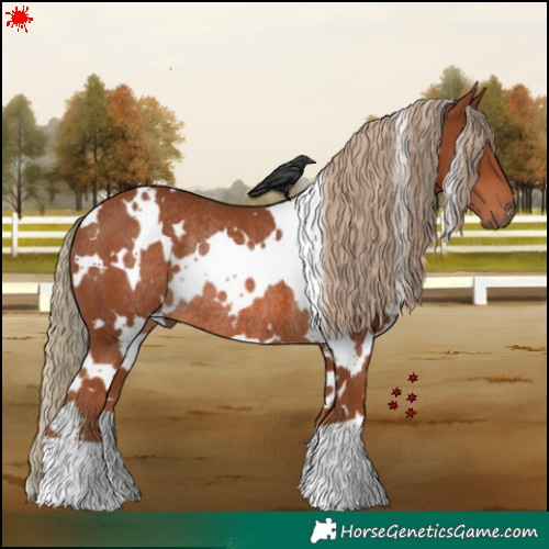 Horse Color:White Spotted Chestnut Rabicano 