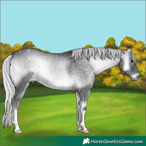 Horse Color:Silver Blue Onyx Chinchilla 