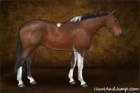 Horse Color:Buckskin Tobiano 