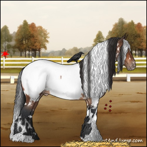 Horse Color:White Spotted Bay Roan Near Fewspot