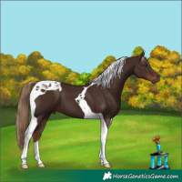 Horse Color:Liver Chestnut Tobiano 