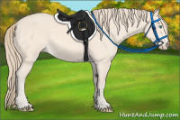 Horse Color:Perlino 