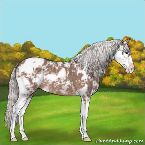Horse Color:Silver Brown Dun Mushroom Sabino
