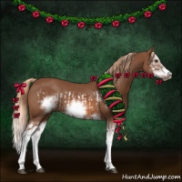 Horse Color:Chestnut Splash Frame  and Chestnut Splash Frame 