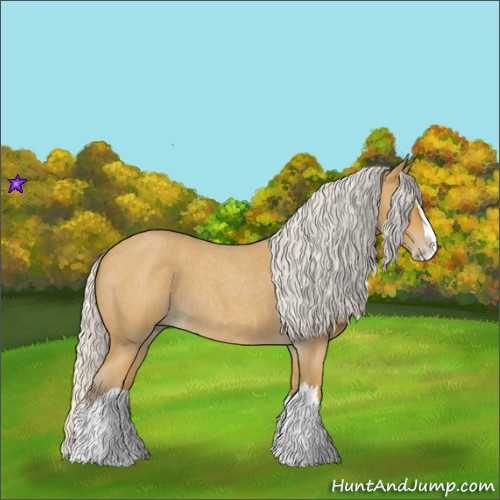 Horse Color:Silver Buckskin Roan Splash