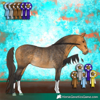 Horse Color:Buckskin Rabicano 