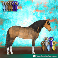 Horse Color:Buckskin Rabicano 