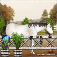 Horse Color:Gray White Spotted Sable Champagne Ice Dun Rabicano