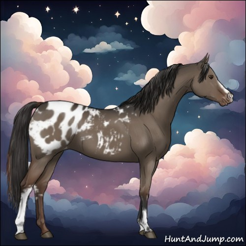 Horse Color:White Spotted Liver Red Dun Appaloosa 