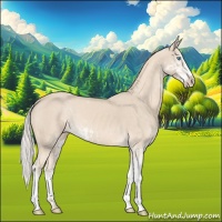 Horse Color:Cremello Sabino  and Cremello Sabino 