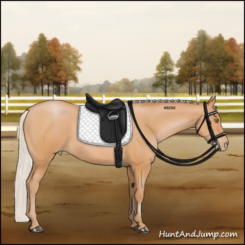 Horse Color:Silver Bay Pearl 