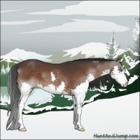 Horse Color:Brown Splash 