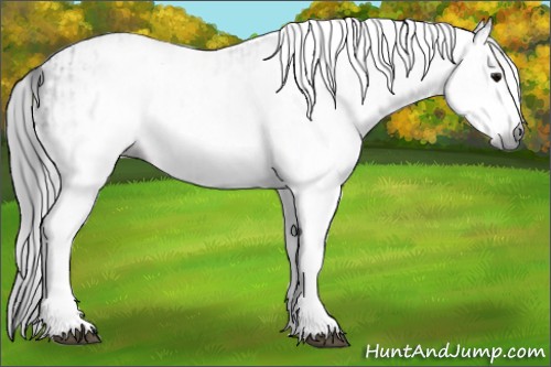 Horse Color:Gray White Spotted Black Frame and Gray White Spotted Black Frame