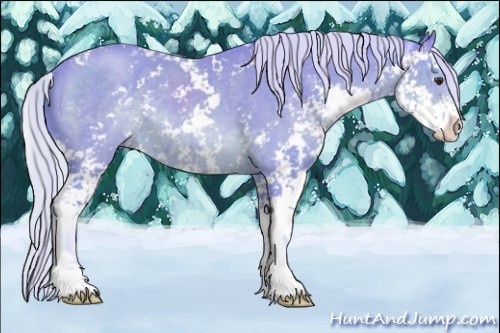 Horse Color:Watercolor Silver Bay Sabino 