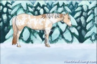 Horse Color:White Spotted Classic Champagne Pearl 