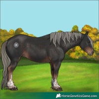 Horse Color:Liver Chestnut Mushroom Tobiano 