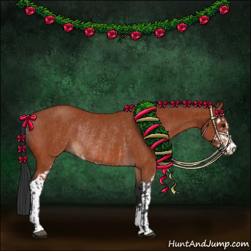 Horse Color:Bay Sabino Rabicano and Bay Sabino Rabicano