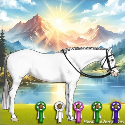 Horse Color:Bay Sabino Splash Near Leopard