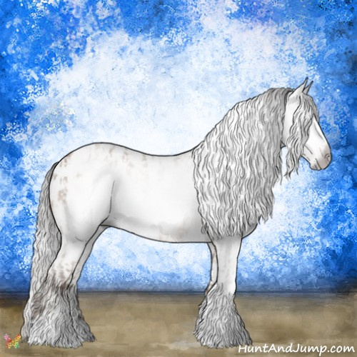 Horse Color:Gray Amber Champagne Sabino Tobiano Appaloosa  and Gray Amber Champagne Sabino Tobiano Appaloosa 