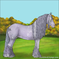 Horse Color:Watercolor White Spotted Black Pearl Sabino