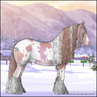 Horse Color:Watercolor White Spotted Brown Pearl Appaloosa 