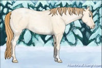 Horse Color:Smoky Grullo Ice Pearl 