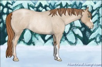 Horse Color:Smoky Blue Roan Pearl Rabicano 