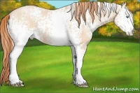 Horse Color:White Spotted Buckskin Pearl 