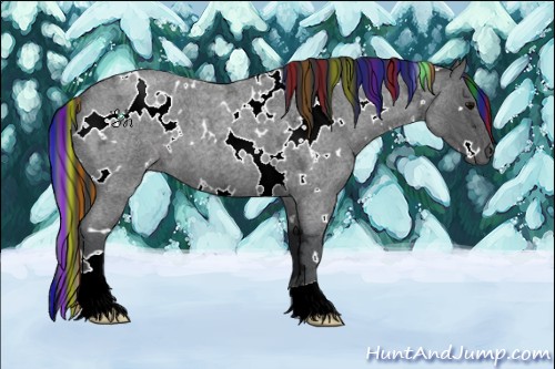 Horse Color:Painted White Spotted Blue Ice Roan 