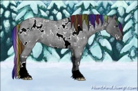 Horse Color:Painted White Spotted Blue Ice Roan 
