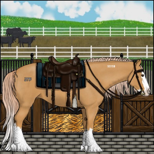 Horse Color:Palomino Roan Sabino Splash