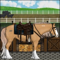 Horse Color:Palomino Roan Sabino Splash 