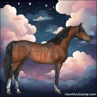 Horse Color:Brown Rabicano  and Bay Rabicano 