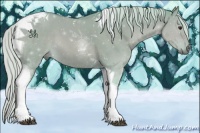 Horse Color:Watercolor Silver Bay Dun Tobiano