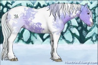 Horse Color:Watercolor Silver Black Tobiano