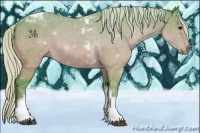 Horse Color:Watercolor Silver Bay Tobiano