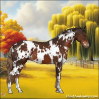 Horse Color:White Spotted Liver Chestnut 